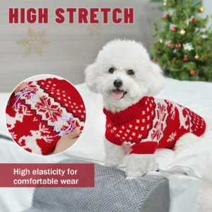 Dog winter clothing Christmas celebration