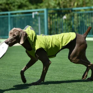Premium Waterproof Dog Raincoat