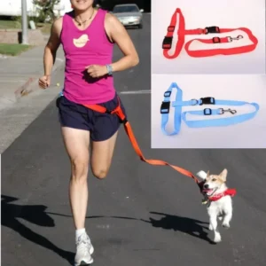 Chest Hands 1PC Belt Traction Walking Pet Lead